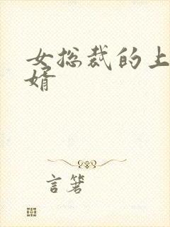 女总裁的上门女婿