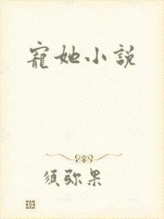 宠她小说