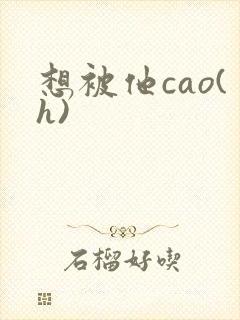 想被他cao(h)