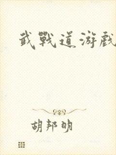 武战道游戏
