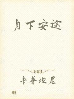 月下安途