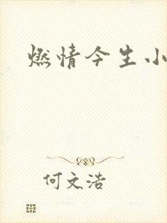 燃情今生小说