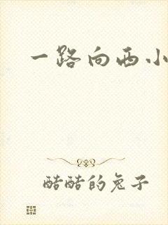 一路向西小说