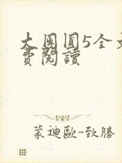 大团圆5全文免费阅读封面