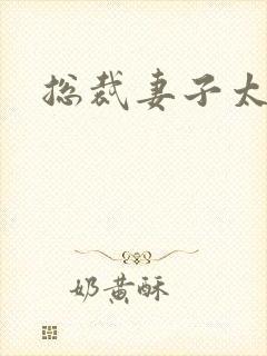 总裁妻子太诱人