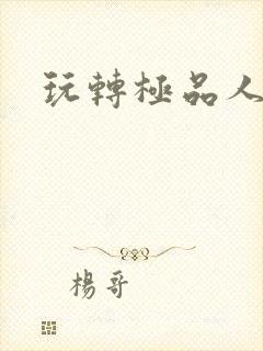 玩转极品人生封面