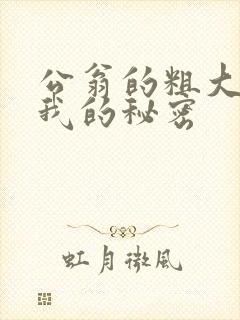 公翁的粗大放进我的秘密