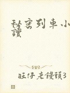 秘密列车小说阅读封面