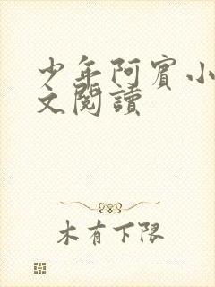 少年阿宾小说全文阅读封面