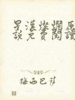 星汉灿烂原著小说免费阅读