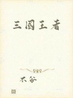 三国王者