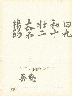 杨大壮和田桂花的第二十九封面