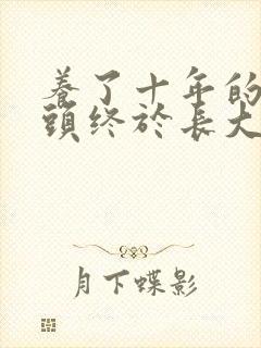 养了十年的小丫头终于长大了