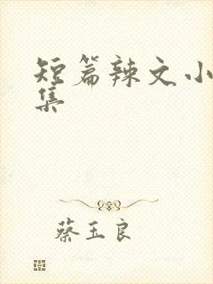 短篇辣文小说合集