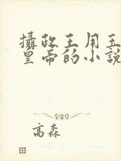 摄政王用玉髓整皇帝的小说