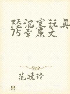 陆沉塞玩具高速75章原文封面