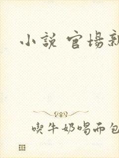 小说 官场新贵封面