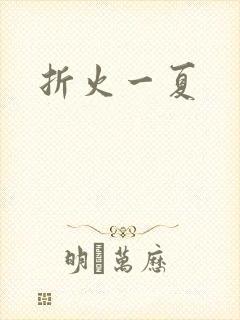 折火一夏封面