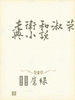 老卫和淑荣的经典小说封面