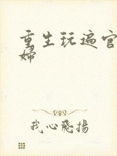 重生玩遍官场贵妇