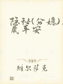 隐秘(公媳)岁岁平安封面