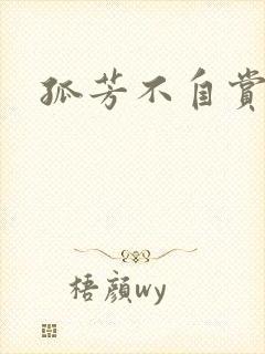 孤芳不自赏小说