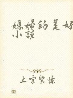 媳妇的美好时代小说