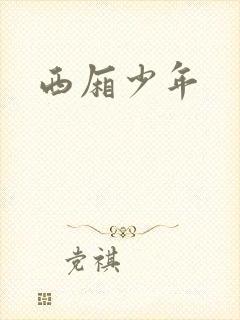 西厢少年封面
