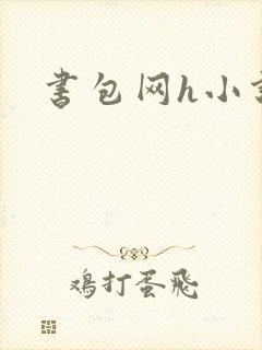 书包网h小说