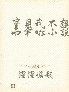 宝贝我不想带小雨伞啦小说