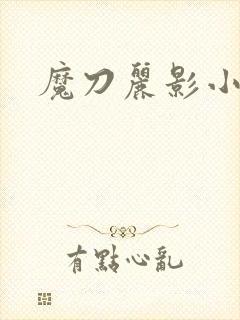 魔刀丽影小说封面