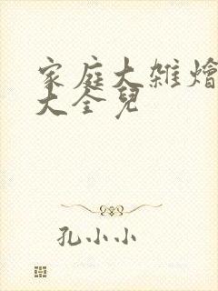 家庭大杂烩小说大全儿