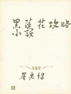 黑莲花攻略手册小说