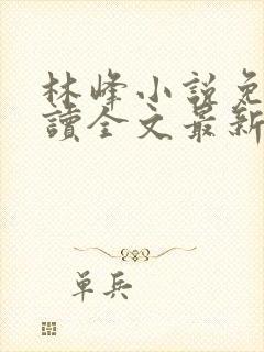 林峰小说免费阅读全文最新章节