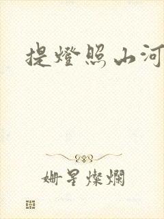 提灯照山河封面