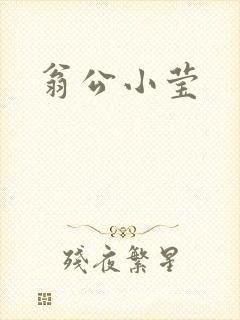 翁公小莹封面