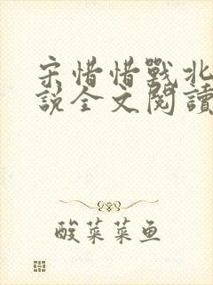 宋惜惜战北望小说全文阅读