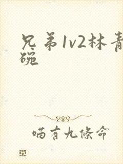 兄弟1v2林青碗封面