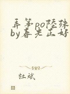 弄筝po陆殊词by春光正好封面