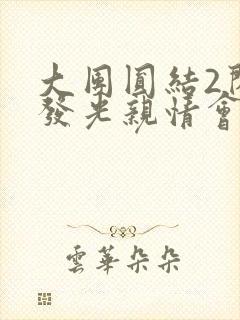 大团圆结2闪闪发光亲情会