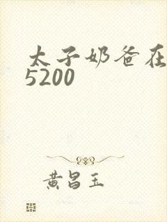 太子奶爸在花都5200