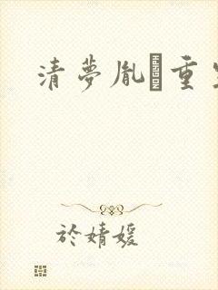 清梦胤礽重生封面