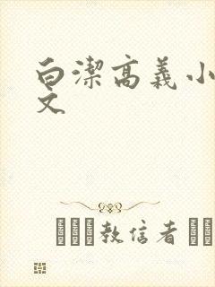 白洁高义小说全文