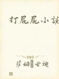 打屁屁小说封面