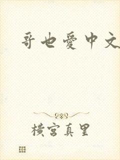 哥也爱中文封面