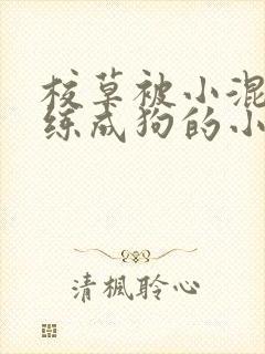 校草被小混混训练成狗的小说