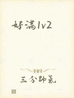好满1v2