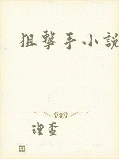 狙击手小说封面