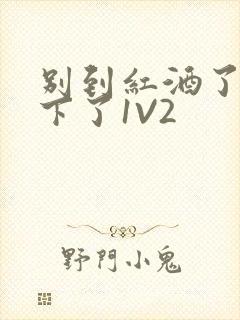 别到红酒了装不下了1V2