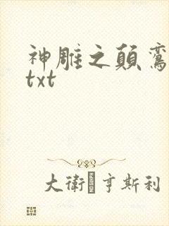 神雕之颠鸾倒凤txt